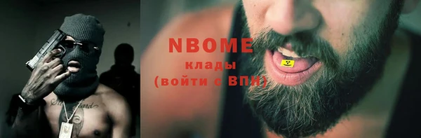 гашик Алексин