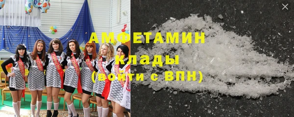 гашик Алексин