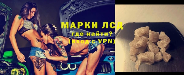 гашик Алексин