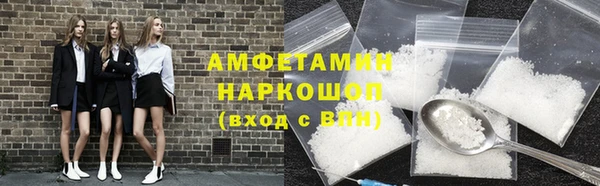 гашик Алексин