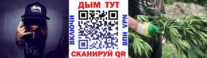 продажа наркотиков  Чебаркуль  Каннабис SATIVA & INDICA 